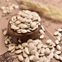 Inner mongolia shine skin pumpkin seeds new crop chinese top quality